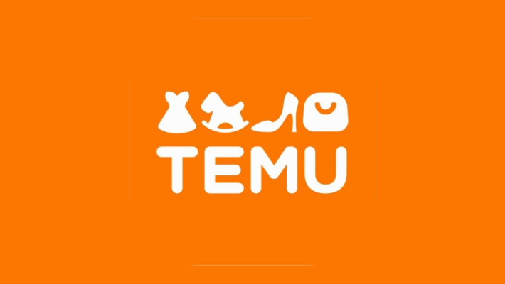 100$ OFF Your Next Purchase at Temu